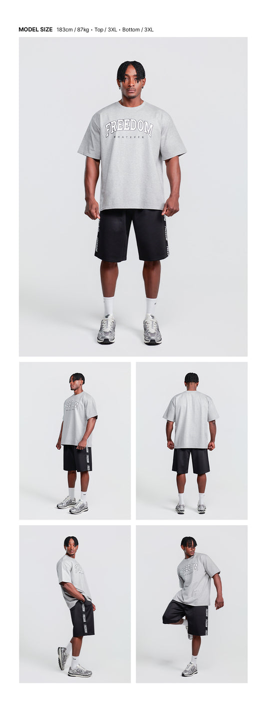 Freedom Arch Logo Semi-Overfit T-shirt (Gray) — model wearing the outfit
